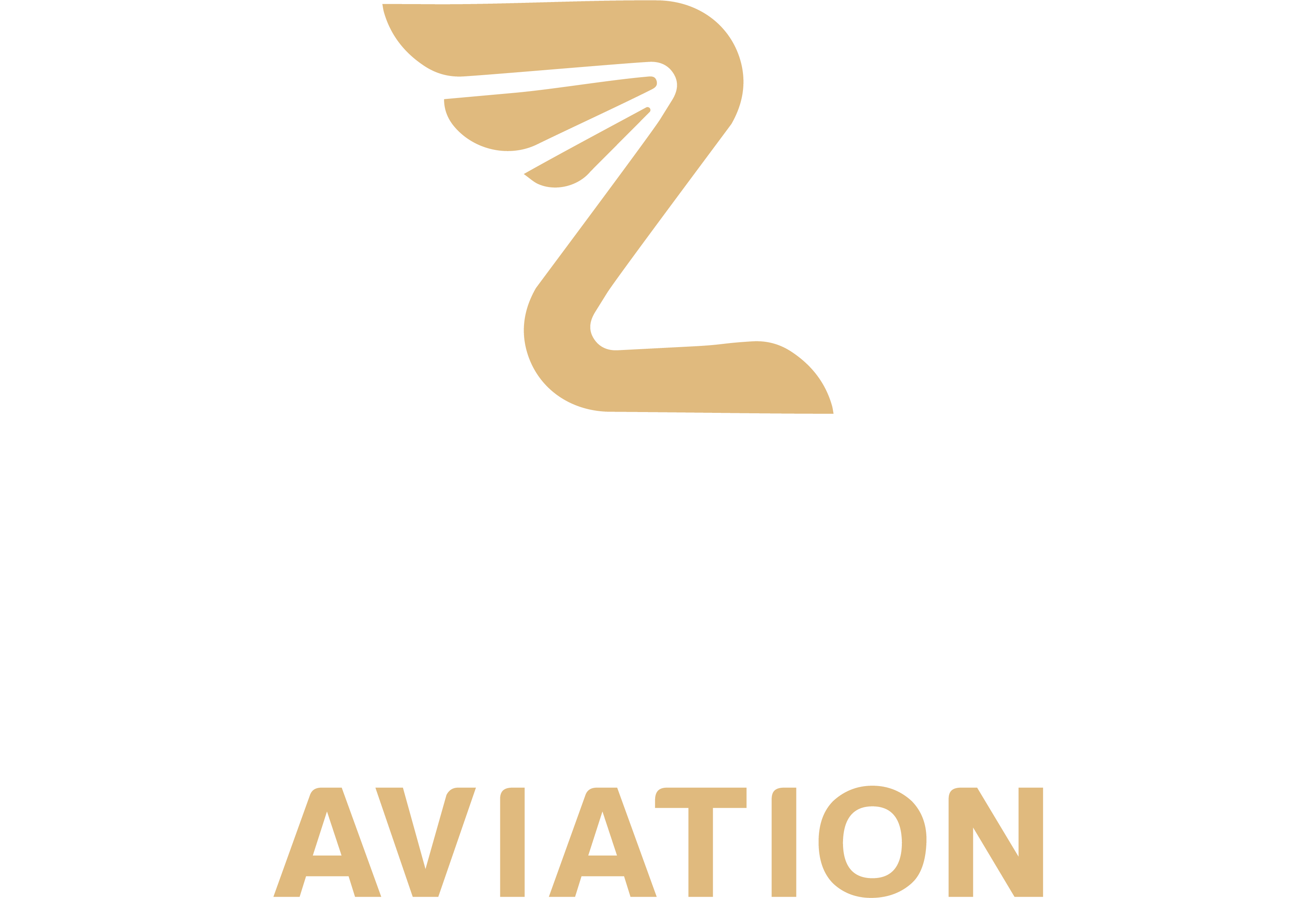 Zen Wings Aviation logo showing a stylized jet